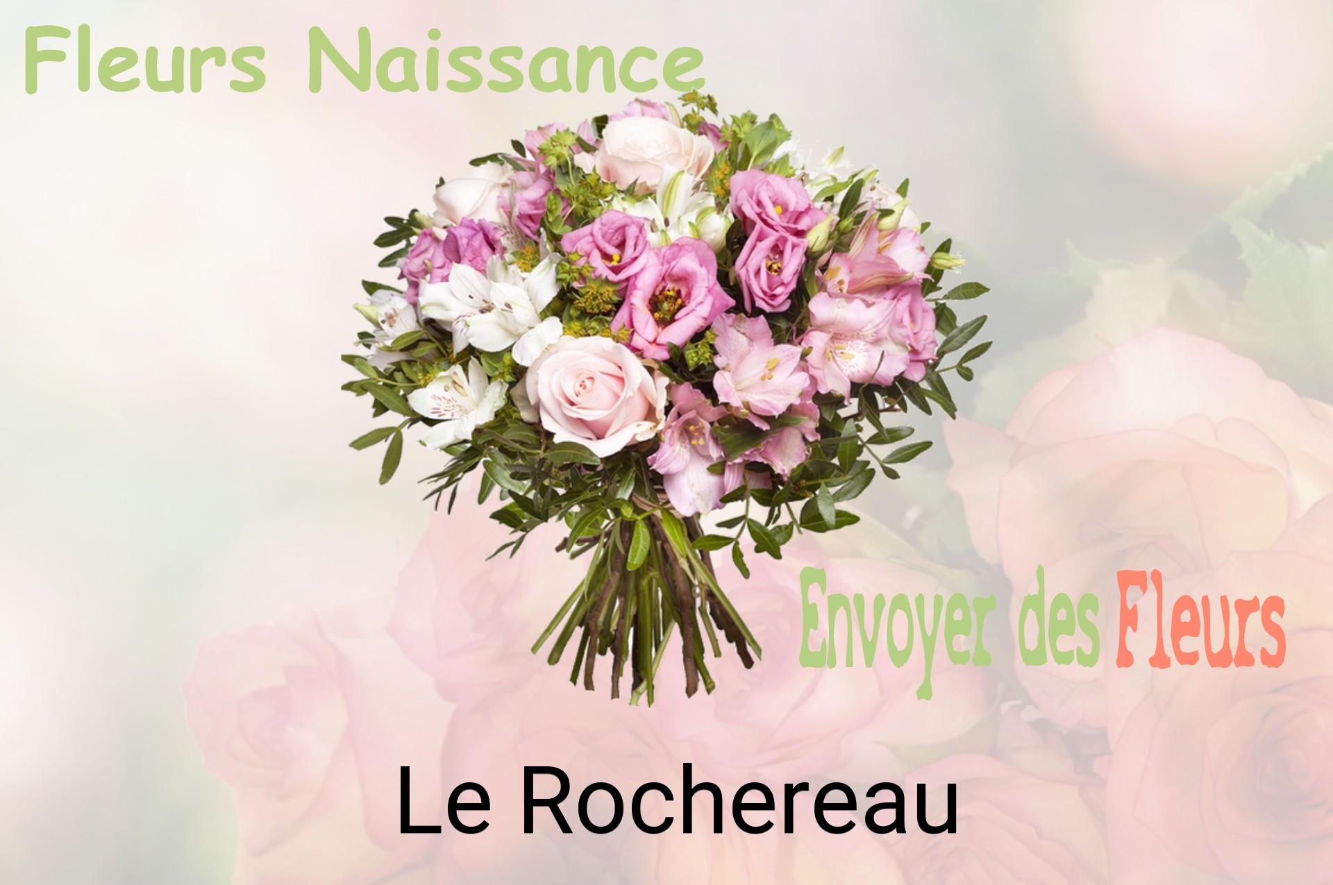 Bouquet de fleurs de naissance livré à Le Rochereau